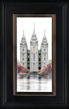 Salt Lake Temple - Celestial Series