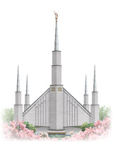 Boise Temple - Celestial Series