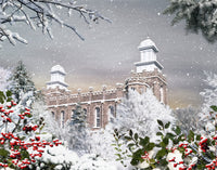 Logan Temple - Winter