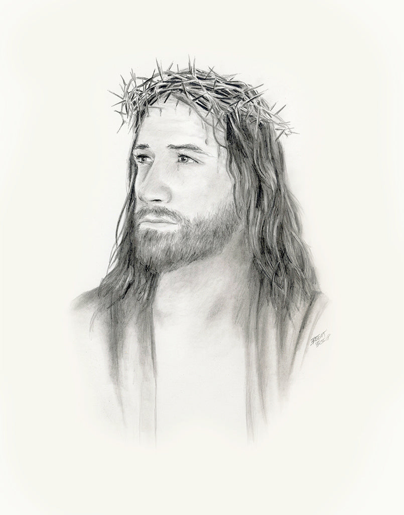Crown of Thorns - Original Pencil Drawing