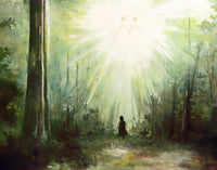 Sacred Grove