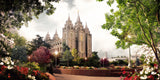 Salt Lake Temple - Summer