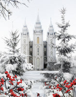 Salt Lake Temple - Winter Wonderland